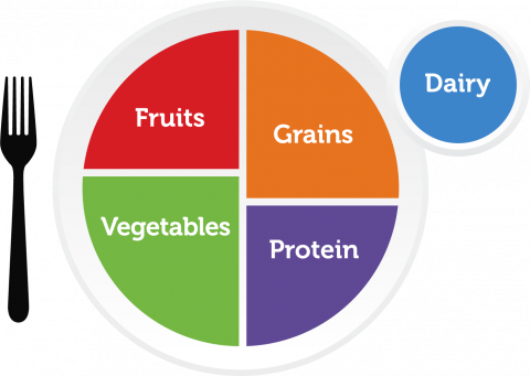 MyPlate گرافک میں ایک پلیٹ دکھائی گئی ہے جس پر چار حصوں میں تقسیم ہے جس پر پھل، سبزیاں، اناج اور پروٹین لکھا ہے، اور ایک الگ دائرہ جس پر Dairy لکھا ہے۔